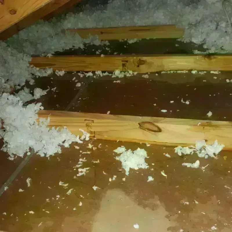 Attic Water Damage in Arnold Line, MS