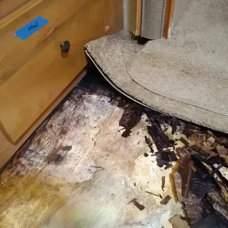 Best Wood Floor Water Damage Service in Arnold Line, MS